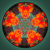 Thumbnail of 11_Chao-Red_Bird_Kaleidoscope.jpg