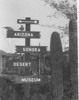 Thumbnail of Early ASDM Sign