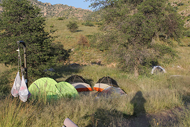 Morning Campsite