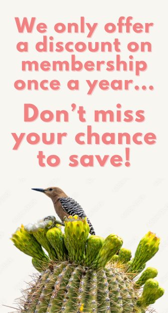 Dinosaurs say Don't Let this Deal Go Extinct!