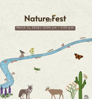 Graphic with a variety of Sonoran Desert animals.