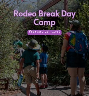 Kids wandering our hummingbird aviary