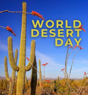 Landscape photo of the Sonoran Desert ft. saguaros and ocotillos with the text 