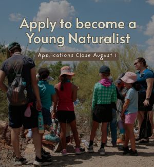 Young naturalists touring the Museum