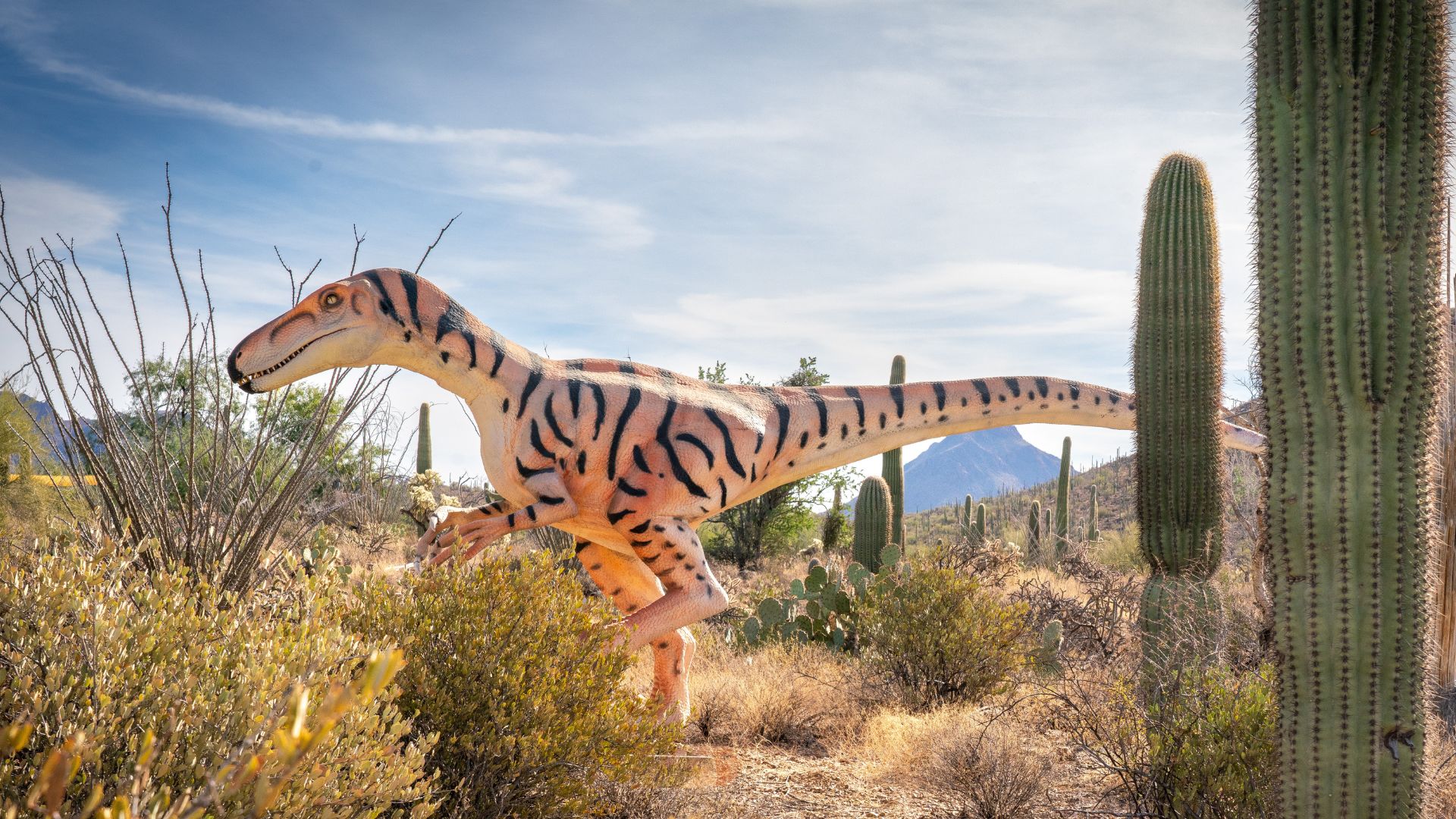  Dinos in the Desert