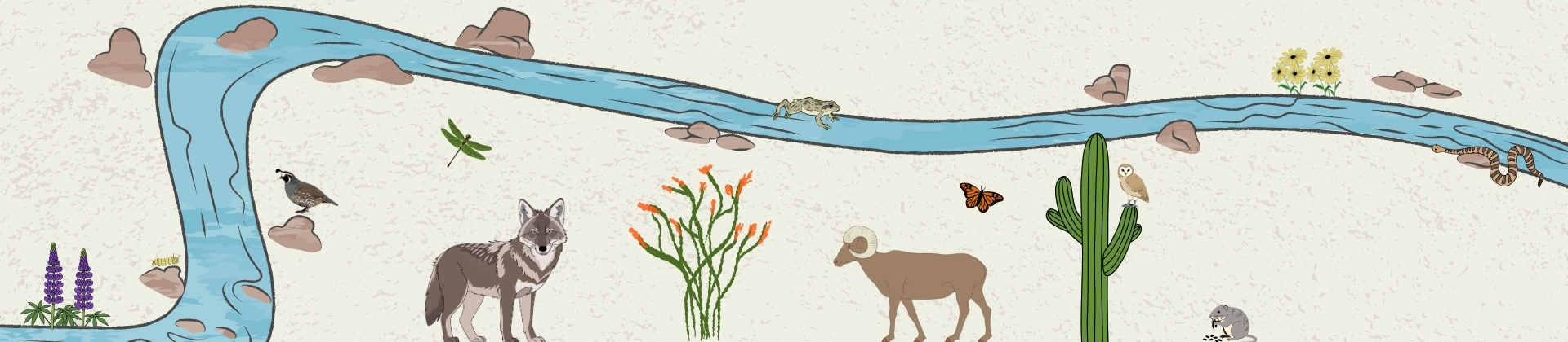 Naturefest Page header image