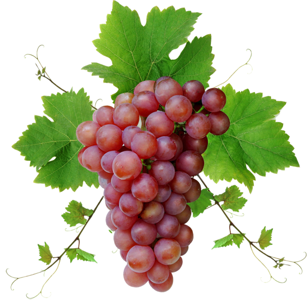 A bunch of grapes