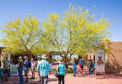 Guests arrive at the Museum entrance